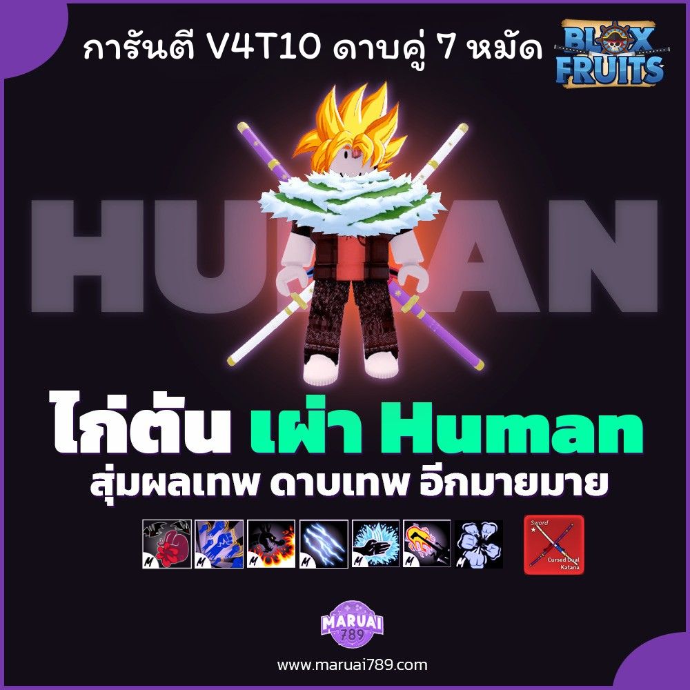 การันตี เผ่า HUMAN V4 T10 7 หมัด ดาบคู่ 